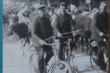 Nieuwsbrief 41 december 2025